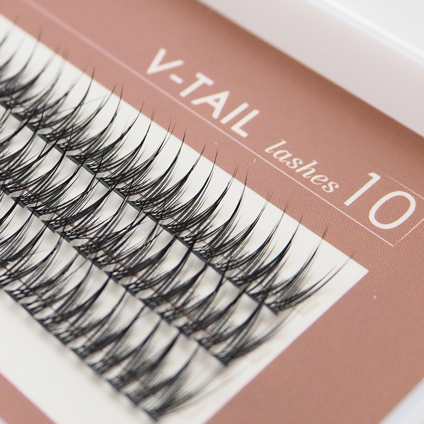 LET'S V-TAIL 10